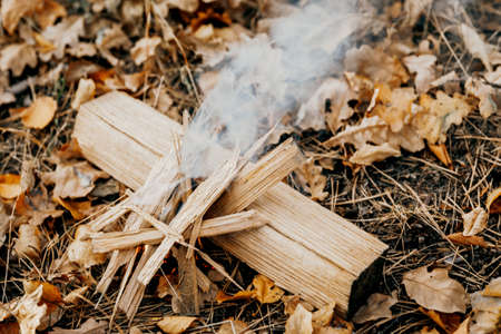 Campfire on vacation during a hike in the forest. Bred for cooking and for warming upの写真素材