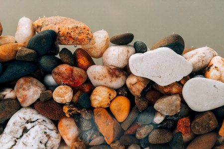 Colorful sea pebbles close-up. Background texture, sea stones in the water.の写真素材