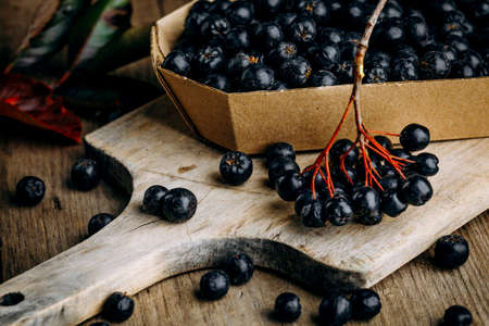 Chokeberry (Aronia melanocarpic) on a wooden tableの写真素材