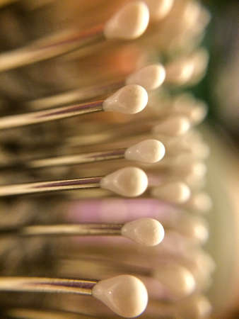 Closeup of dirty used hairbrush with visible dandruff and knots of hair in teeth, hygiene concept.の写真素材