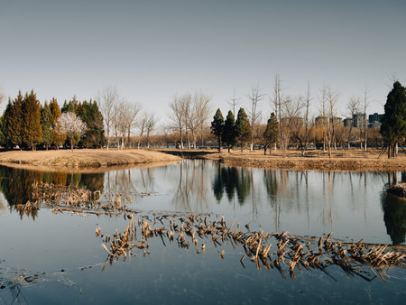 Reflection of trees in the lake in the early spring time.の写真素材