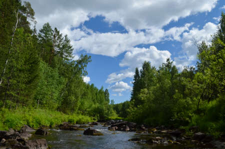 Quick forest streamの写真素材