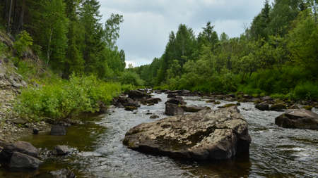 Quick forest streamの写真素材