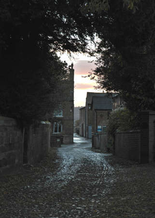 Dawn light through dark arched trees towards old farm buildings.の写真素材