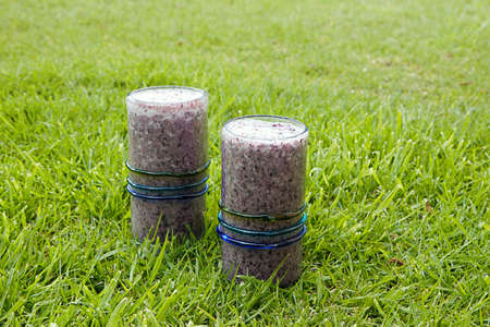 Two healthy drinks, blueberry smoothies with coconut milk served on grassの写真素材