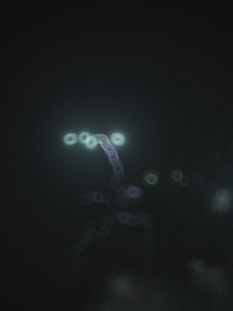 Light blur and defocus bokeh rings, alien flora