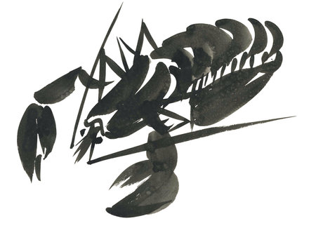 lobsterの写真素材