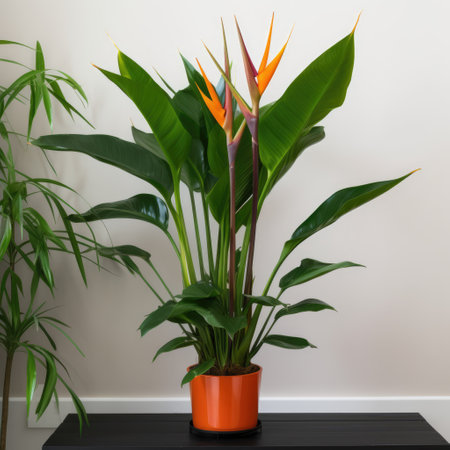 Close up of bird of paradise plant and flower on table, created using generative ai technology. Plant, flower, nature and home decor concept digitally generated image.の素材