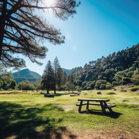 Landscape of national park with bench and trees, created using generative ai technology. National park, scenery and beauty in nature concept digitally generated image.の素材