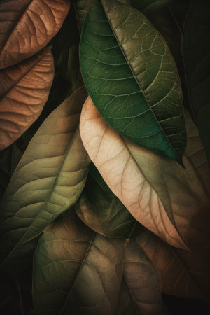 Close up of multi coloured leaves background, created using generative ai technology. Nature, pattern and texture concept digitally generated image.の素材
