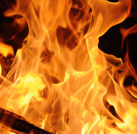 Close up of burning bonfire with branches and orange flames, created using generative ai technology. Nature and fire concept, digitally generated image.の素材