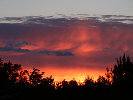 Sunestaの写真素材