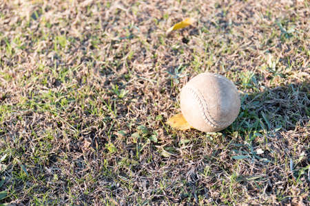 ball on the fieldの写真素材