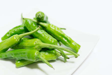Green chili pepperの写真素材