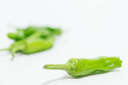Green chili pepperの写真素材