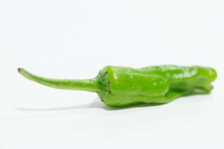 Green chili pepperの写真素材
