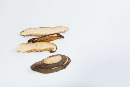 dried mushroom on white backgroundの写真素材