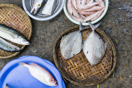 Vietnam Marketの写真素材