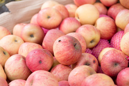 Vietnam Marketの写真素材