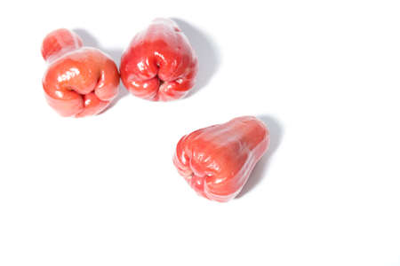 rose appleの写真素材