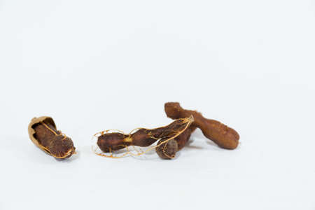 tamarindの写真素材