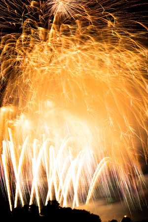 Fireworks display in the darkの写真素材