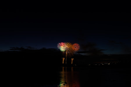 Fireworks display in the dark