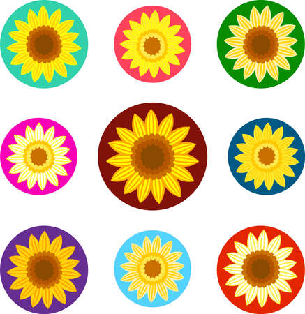 Colorful sunflower flower icon setのイラスト素材