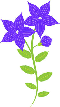 bellflower and bud clipart iconsのイラスト素材