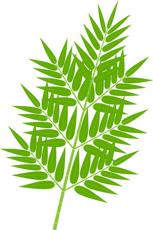 illustration icon of fresh green bamboo leavesのイラスト素材