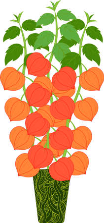 Clip art of plant pot and Japanese lantern plant with many fruitsのイラスト素材