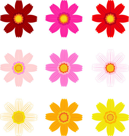 cosmos flower illustration icon setのイラスト素材
