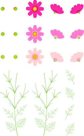 Cosmos Flower Icons Web graphicsのイラスト素材