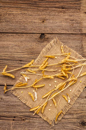 Ripe dry soybeans in pods. Cultivated organic agricultural crop, traditional healthy ingredient in oriental culture. Vintage sackcloth, wooden boards background, copy space, top viewの写真素材