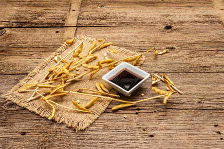 Ripe dry soybeans in pods and dark soy sauce. Cultivated organic agricultural crop, traditional healthy ingredients in oriental food. Vintage sackcloth, wooden boards background, copy spaceの写真素材