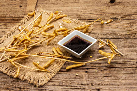 Ripe dry soybeans in pods and dark soy sauce. Cultivated organic agricultural crop, traditional healthy ingredients in oriental food. Vintage sackcloth, wooden boards background, copy spaceの写真素材