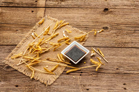 Ripe dry soybeans in pods and dark soy sauce. Cultivated organic agricultural crop, traditional healthy ingredients in oriental food. Vintage sackcloth, wooden boards background, copy spaceの写真素材