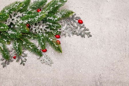 Christmas background. New Year fir tree, dog rose, fresh leaves and artificial snow. Stone concrete backdrop, copy space, top viewの写真素材