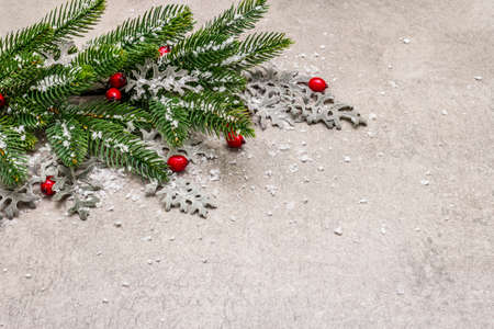 Christmas background. New Year fir tree, dog rose, fresh leaves and artificial snow. Stone concrete backdrop, copy spaceの写真素材
