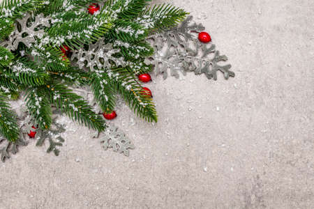 Christmas background. New Year fir tree, dog rose, fresh leaves and artificial snow. Stone concrete backdrop, copy space, top viewの写真素材