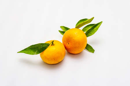 Ripe tangerines with leaves. Fresh fruits isolated on white background, copy space, close upの写真素材