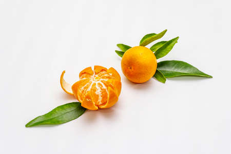 Ripe tangerines with leaves. Fresh fruits isolated on white background, copy space, close upの写真素材