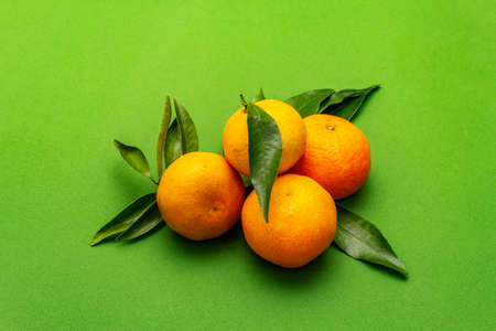 Ripe tangerines with leaves. Fresh fruits isolated on green background, copy spaceの写真素材