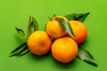Ripe tangerines with leaves. Fresh fruits isolated on green background, close upの写真素材