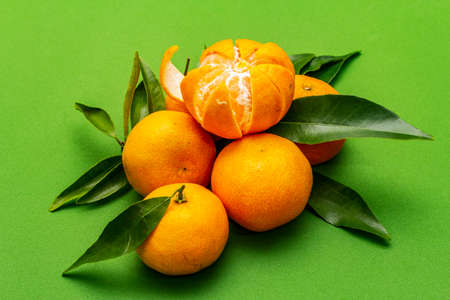 Ripe tangerines with leaves. Fresh fruits isolated on green background, close upの写真素材