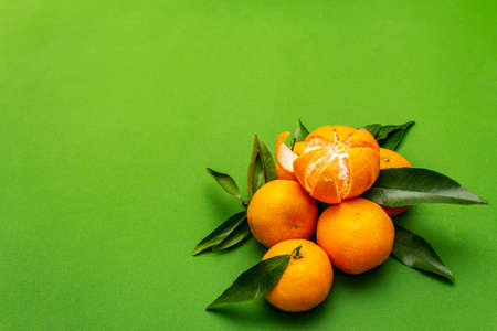 Ripe tangerines with leaves. Fresh fruits isolated on green background, copy spaceの写真素材