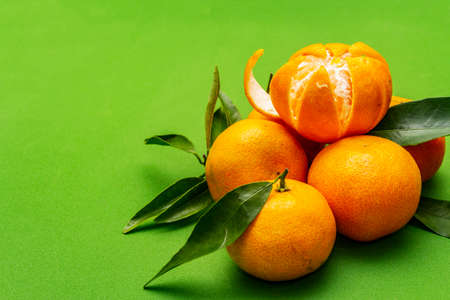 Ripe tangerines with leaves. Fresh fruits isolated on green background, copy space, close upの写真素材