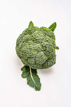 Ripe single broccoli. Fresh whole head of cabbage, green leaves. Isolated on white background, copy space, close upの写真素材