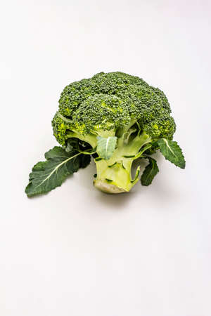 Ripe single broccoli. Fresh whole head of cabbage, green leaves. Isolated on white background, copy spaceの写真素材
