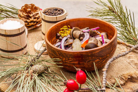 Pickled or fermented mushrooms. Traditional Christmas snack. New Year Festive cutlery. Evergreen pine, cone, spices, chopping board. Stone concrete background, close upの写真素材